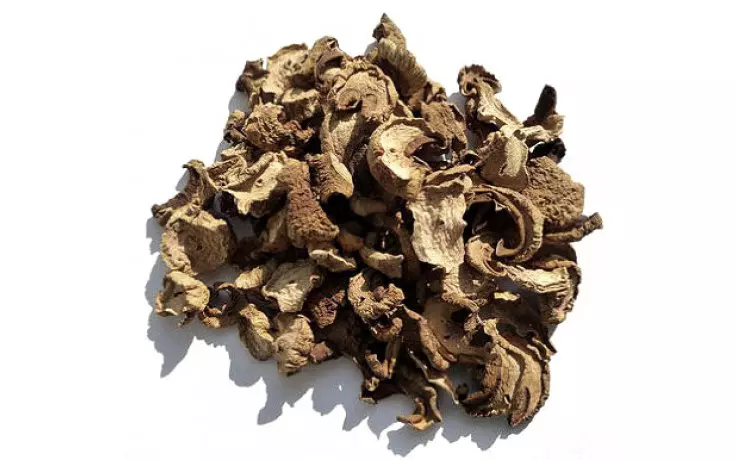 Funghi Seco ( Cogumelo )